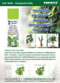 Perfect Plant Leaf Shine Spray – 200ml. 