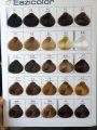 EAZICOLOR PERMANENT HAIR COLOR TUBE DARK NATURAL ASH BLONDE (6.1) 60ML. 