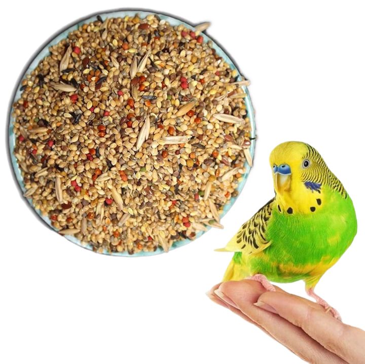 Budgies Mix Bird Food for Budgies and Other Small Birds - 1 KG | Daraz.pk