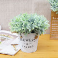 Plant No Watering False Cottonrose Hibiscus Leaf Green Plant. 