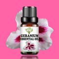 Herbology Geranium Essential Oil - 100% Pure & Natural For Diffuser Aromatherapy and Candle Scent. 