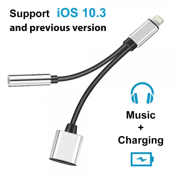 2%20in%201%20Lightning%20Adapter%20to%20Jack%203.5mm%20and%20Lightning%20Port%20for%20iPhone%2011/11%20Pro%20/11%20Pro%20Max/%20Xs%20Max/%20X%20/%20XS/%208%20/%207%20-%20Image%202