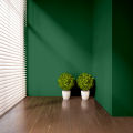 Brighto Paints Stain Free Quarter. 