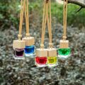 Car Hanging Perfume / Aroma Diffuser. 