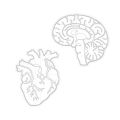 New Amazon Plastic Brain Heart Seal Grinding Tool White Embossing Tool Human Organ Seal Mold. 