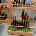 Beautiful Singing Birds Induction Electric Parrot Toy Bird Children Parrot Cage Toys For Kids. 