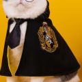 MOLAMGO Pet Clothes Dress Up Harry Potter College Style Cape Halloween Cosplay for Dog Cat. 