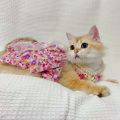 Shih Tzu Dog Dress Terno Female Puppy Kitten Cat Dress Pet Clothes Cat Costume Birthday Clothes for Dog Flower Lace Bow Knot Wedding Princess Pet Gown + Headband. 