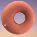 Air Cushion Ring Round Inflatable Donut Air Ring Cushion for Piles Tailbone Pain Relief Bedsore Hemorrhoids Pressure Relief. 