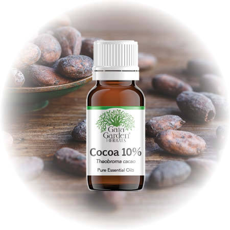 Cocoa 10% (Theobroma Cocao) – Essential Oil 30ml