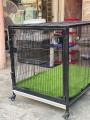 Folding Cage for adult Dog & Cats. 
