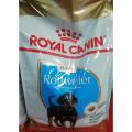Royal Canin Rottweiler Puppy Junior 3KG. 