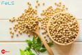 SOYABEAN/SOYA DANA 500 G. 