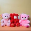 Cute Looking Teddy with Pink Stripe. Soft and Plush Small teddy Bear.. 