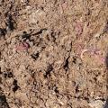 Vermicompost for sale 1KG to 40 KG Multipurpose Fertilizer. 