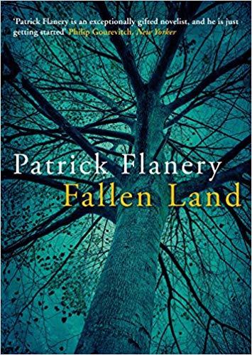 Liberty Books | Fallen Land by Patrick Flanery (100% Original)