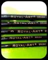 Angular Royal Art Paint Brush Set of 5 - High Quality Brushes. 
