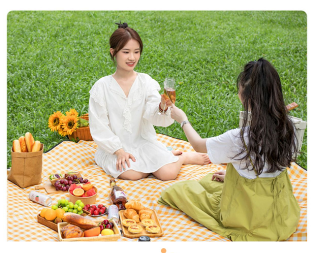2x2M%20Foldable%20Portable%20Picnic%20Mat%20Waterproof%20Oxford%20Cloth%20Picnic%20Blanket%20Moisture-proof%20Thicken%20Lightweight%20Camping%20Sleeping%20Pad%20-%20Image%206