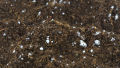 Organic Soilless Seed Starter Mix - Mixture of Vermicompost Coco Peat/Cocopeat and Perlite. 
