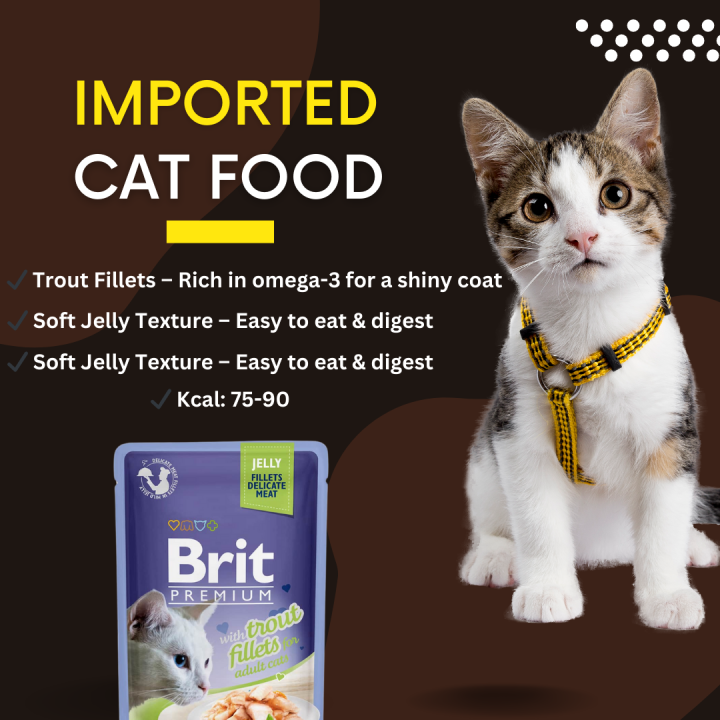 Brit%20Premium%20-%20Jelly%20(Fillets%20Delicate%20Meat)%20-%20Cat%20Food%20-%20with%20Trout%20Fillets%20for%20Adult%20Cats%20-%2085g%20-%20Image%202