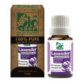 Lavender Essential Oil 100% Pure & Natural. 