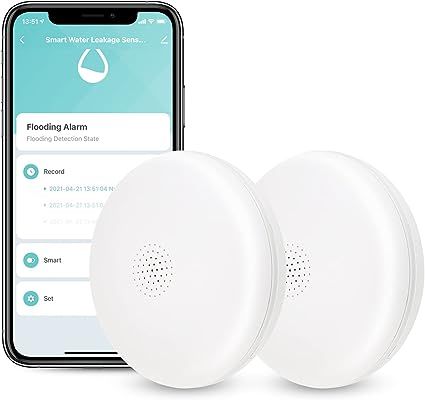 Smart Water Detector 2 Pack, HBN Wi-Fi Water Leak Sensor Alarm with 75