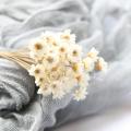 30Pcs Dried Daisy Floral Bouquet Wedding DIY Home Decor Artificial Flower Bouquet Fluffy. 
