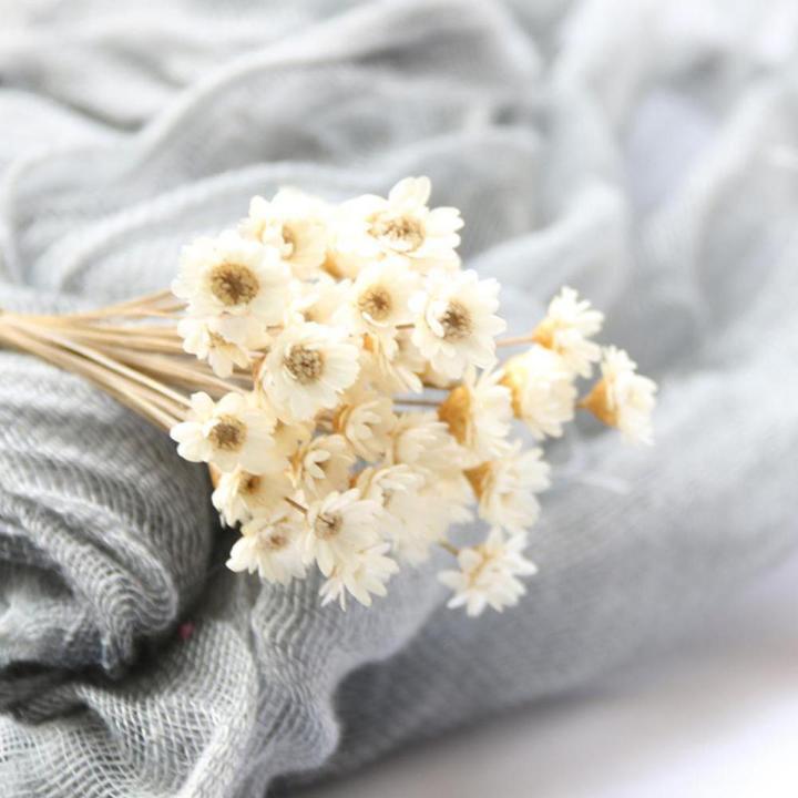 30Pcs Dried Daisy Floral Bouquet Wedding DIY Home Decor Artificial Flower Bouquet Fluffy