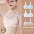 Girls underwear development period primary school girl 13-year-old girl big child 12-year-old child vest cotton thin section 10. 