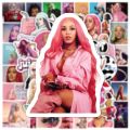 10/50PCS Doja Cat American Singer Stickers For Computer Refrigerator Skateboard Trunk Luggage Helmet Bicycle Guitar Decal. 