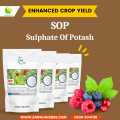 SOP Fertilizer | Sulphate of Potash | Fertilizer For Flowering & Fruiting | | 100GM, 250GM, 500GM, 1KG | Organic Compost | Fertilizer For Plants | Organic Fertilizer | Lawn Garden | Fertilizer For Plants Grow More | DAP Fertilizer | ZarkhaizBee |. 