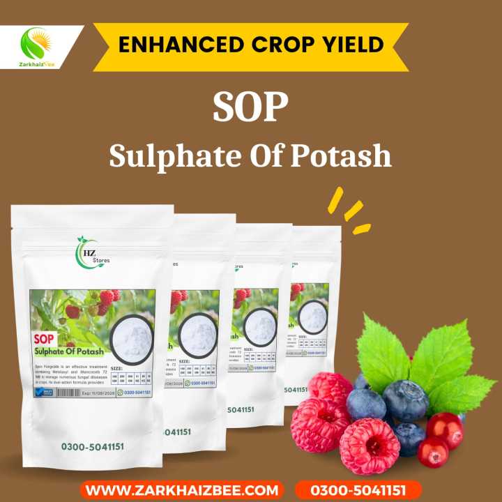 SOP%20Fertilizer%20%7C%20Sulphate%20of%20Potash%20%7C%20Fertilizer%20For%20Flowering%20&%20Fruiting%20%7C%20%7C%20100GM,%20250GM,%20500GM,%201KG%20%7C%20Organic%20Compost%20%7C%20Fertilizer%20For%20Plants%20%7C%20Organic%20Fertilizer%20%7C%20Lawn%20Garden%20%7C%20Fertilizer%20For%20Plants%20Grow%20More%20%7C%20DAP%20Fertilizer%20%7C%20ZarkhaizBee%20%7C%20-%20Image%203
