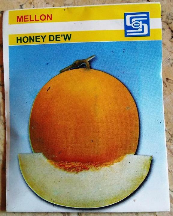 Mellon Honey Dew