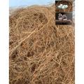 Nesting Material Coconut Grass for Finches. 