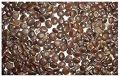 Desi Kikar - Vachellia Nilotica Acacia - Babool Tree Seeds. 