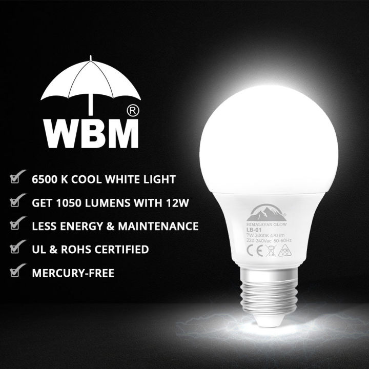 LED%20Light%20Bulb%20%E2%80%93%20Cool%20White%20Light%2012W%20%7C%20Himalayan%20Glow%20-%20Image%207