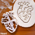 New Amazon Plastic Brain Heart Seal Grinding Tool White Embossing Tool Human Organ Seal Mold. 