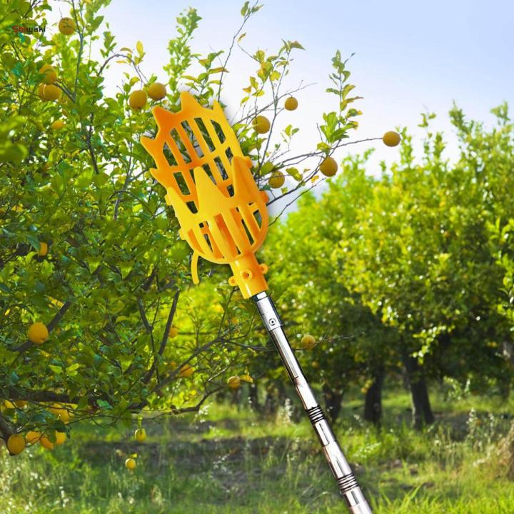 Fruit Picker, Fruit Catcher Device, Garden Tools, Lightweight Work Saving Tool Fruit Picking Tools for Pear Cherry Fruit