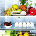 O3 Ozone Generator Air Purifier,Refrigerator Deodorizer,Food Shelf Life Extender,Remove Smoke Pet Toilet Smell for Odors. 