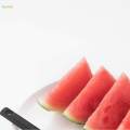 Fruit Seed Removal Device Stainless Steel for Fruit Pitter Home Kitchen. 