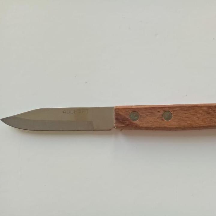 Multipurpose Stainless Steel Kitchen Pairing Knives - 3 Inch - brown