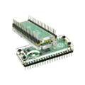 Raspberry Pi Pico High-Performance Microcontroller Board with Acrylic Case. 