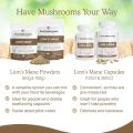 Real Mushrooms Lion’s Mane Powder 60 Servings 60gm. 