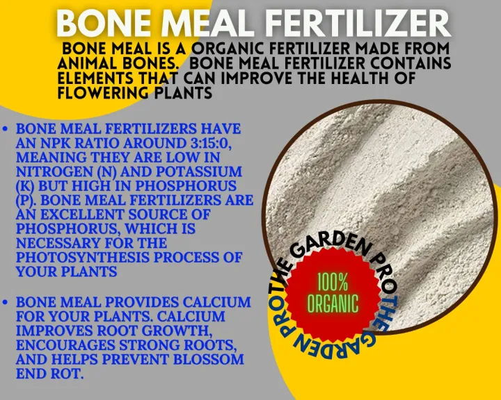 Bone%20Meal%201%20kg%20/%20Organic%20Fertilizer%20/%20Organic%20plant%20Food%20-%20Image%202