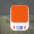 Professional Aslor 5kg Kitchen Weight Machine Scale. 