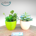 Wishly Small Succulent Artificial Plants in Pots Set of 2 Pcs, Assorted Mini Faux Aesthetic Cactus potted Succulents arrangements for Home, Office, Bedroom, Washroom & Living Room, Outdoor & Indoor Decor.. 