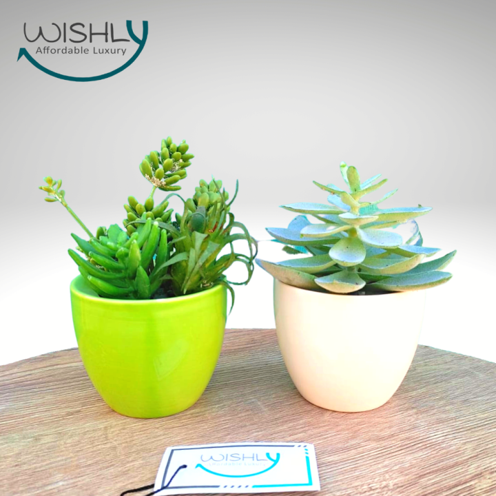 Wishly%20Small%20Succulent%20Artificial%20Plants%20in%20Pots%20Set%20of%202%20Pcs,%20Assorted%20Mini%20Faux%20Aesthetic%20Cactus%20potted%20Succulents%20arrangements%20for%20Home,%20Office,%20Bedroom,%20Washroom%20&%20Living%20Room,%20Outdoor%20&%20Indoor%20Decor.%20-%20Image%204