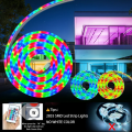 RGB Neon LED Strip Light Kit with Remote Control - 5 Meter (16ft), Waterproof, Multicolor, Adhesive, Flexible - Ideal for PC Gaming, Bedrooms, Kitchens, and Home Decoration - 12V. 