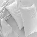 Duck Feather Pillow -  Pack of 2. 