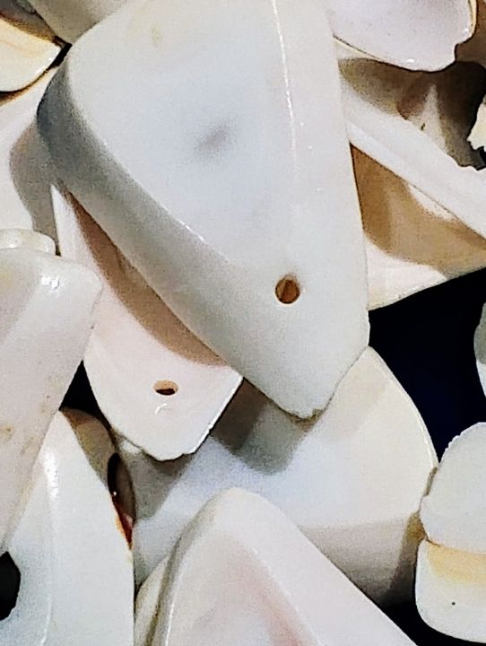 Natural%20Marine%20Pieces%20For%20DIY%20Crafts%20%7C%2015%20Mix%20Size%20pcs%20(2.5cm%20to%205cm)%20%7C%20Real%20Cut%20Marine%20Pieces%20With%20Hole%20%7C%20Use%20As%20Beads,%20Pendent%20Or%20Aquarium%20%7C%20Ideal%20For%20DIY%20Jewelry%20Making,%20Crafting,%20And%20Home%20Decoration%20-%20Image%206